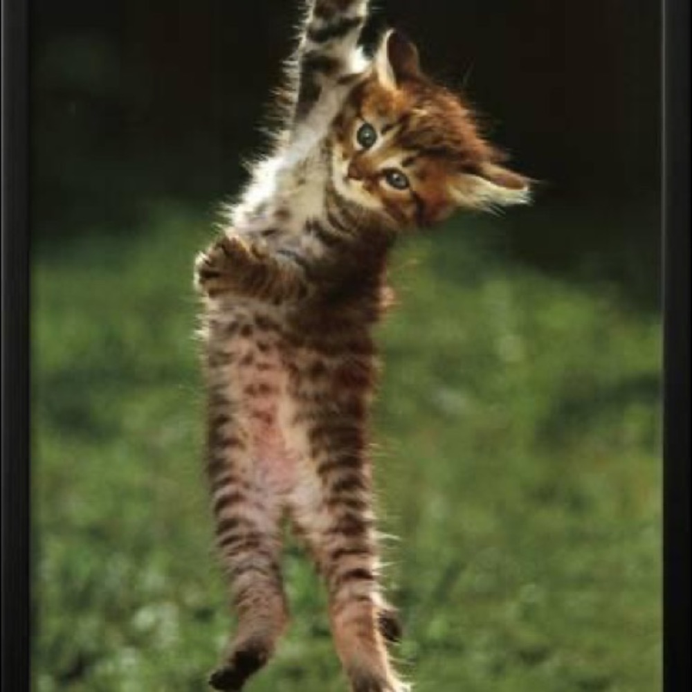 Meet your Posher, John